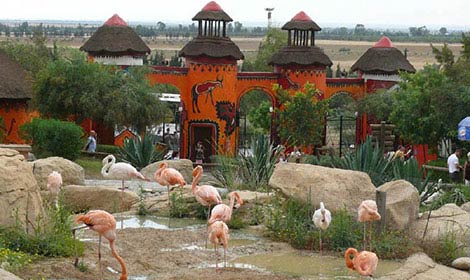Friguia park Hammamet - Zoo, spectacle des Dauphins