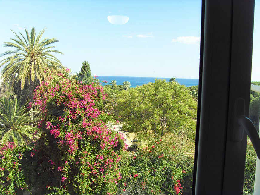 Photo 7 appartement N°3 à Hammamet avec vue sur mer et jardin