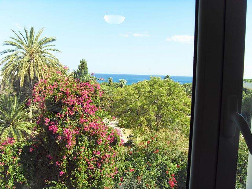 Photo 9 appartement N°3 à Hammamet avec vue sur mer et jardin